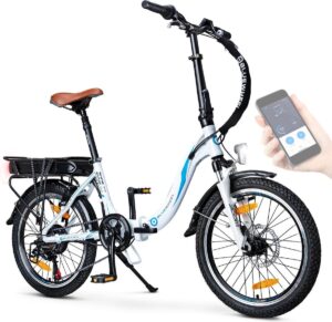 Elektrische fiets met lage opstap 2